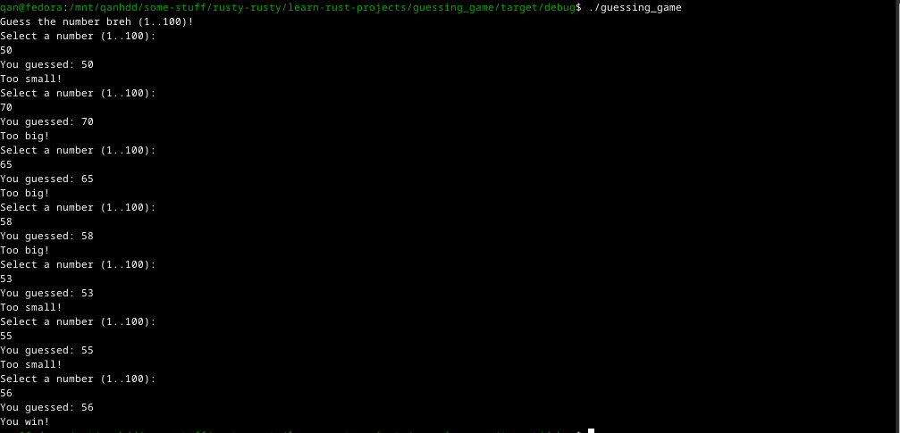 Guessing Game Rust